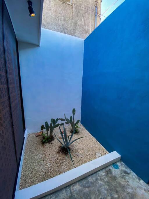 Villa Modern Casa With Pool 7 Mins From Centro 5Min La Plancha Park Mérida Exterior foto