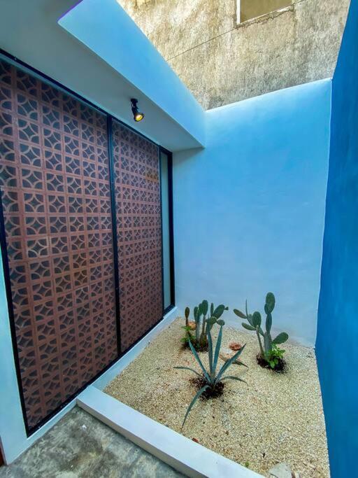 Villa Modern Casa With Pool 7 Mins From Centro 5Min La Plancha Park Mérida Exterior foto